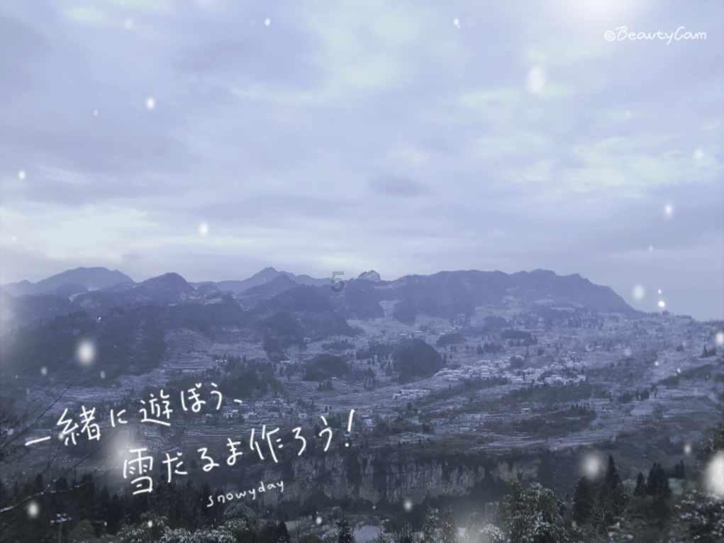 海贼王伟大冒险