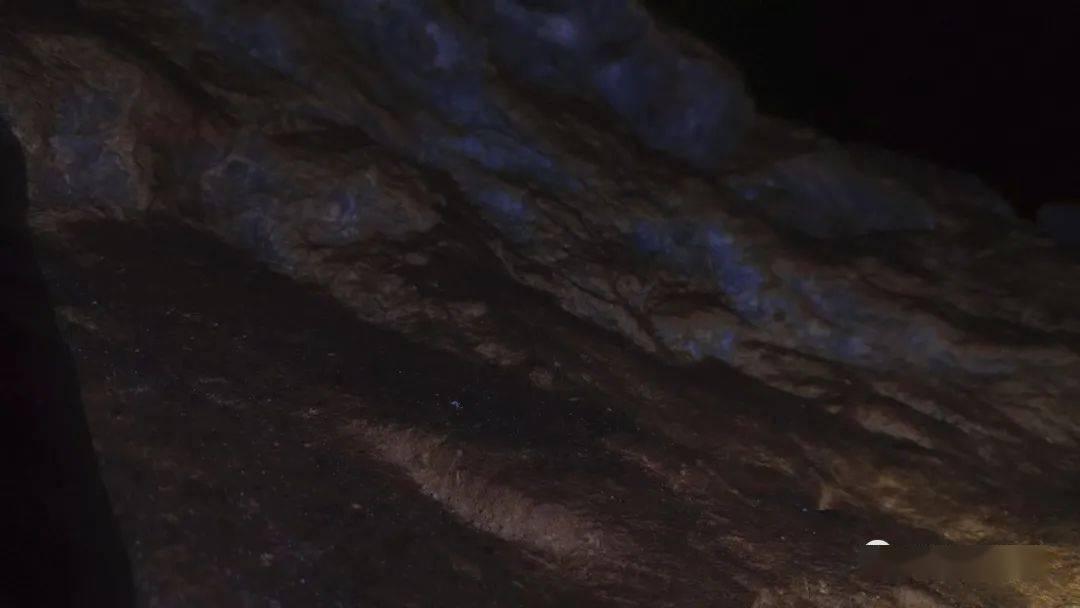 卡通汽车涂颜色